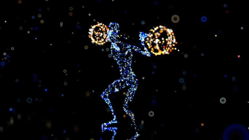 The Vital Organs That Drives Longevity