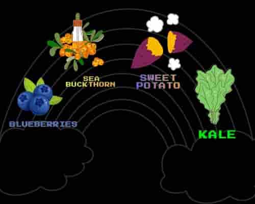 Nutrition dense foods