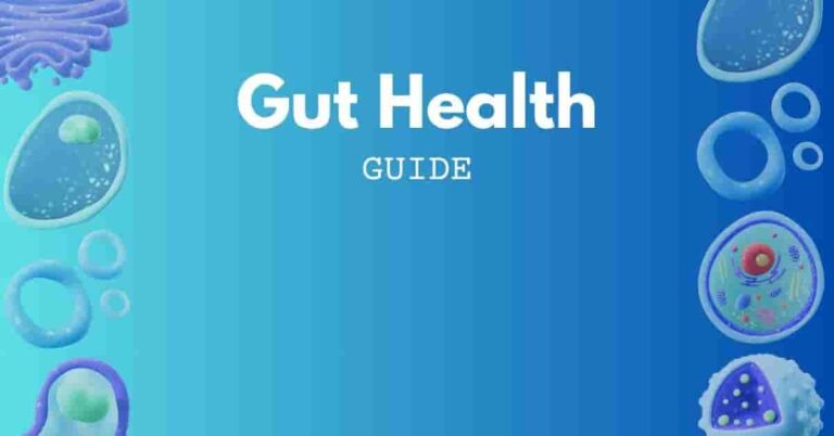 A Beginner's Guide to Gut Health
