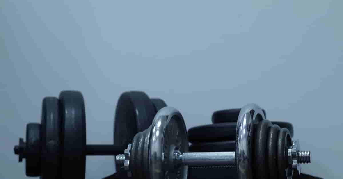 The Science of Muscle and Longevity