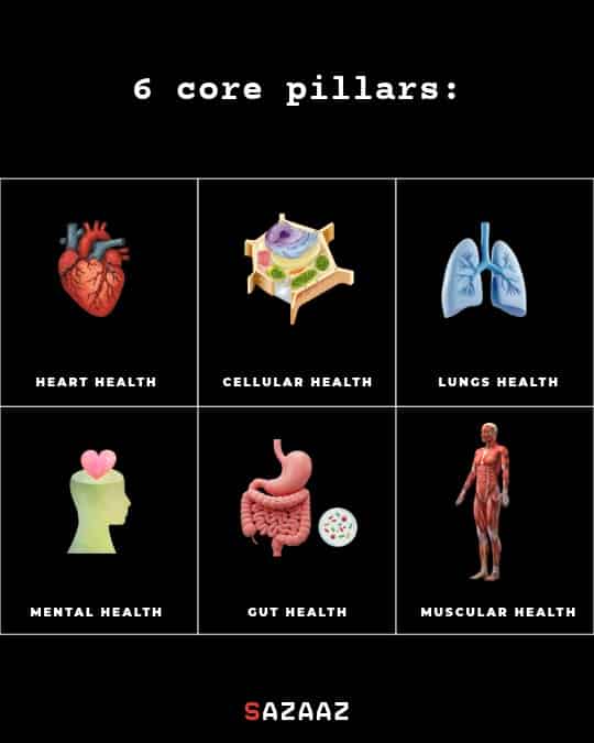 6 core pillars for longevity