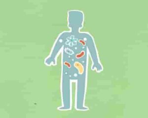 Your gut is home to trillions of bacteria